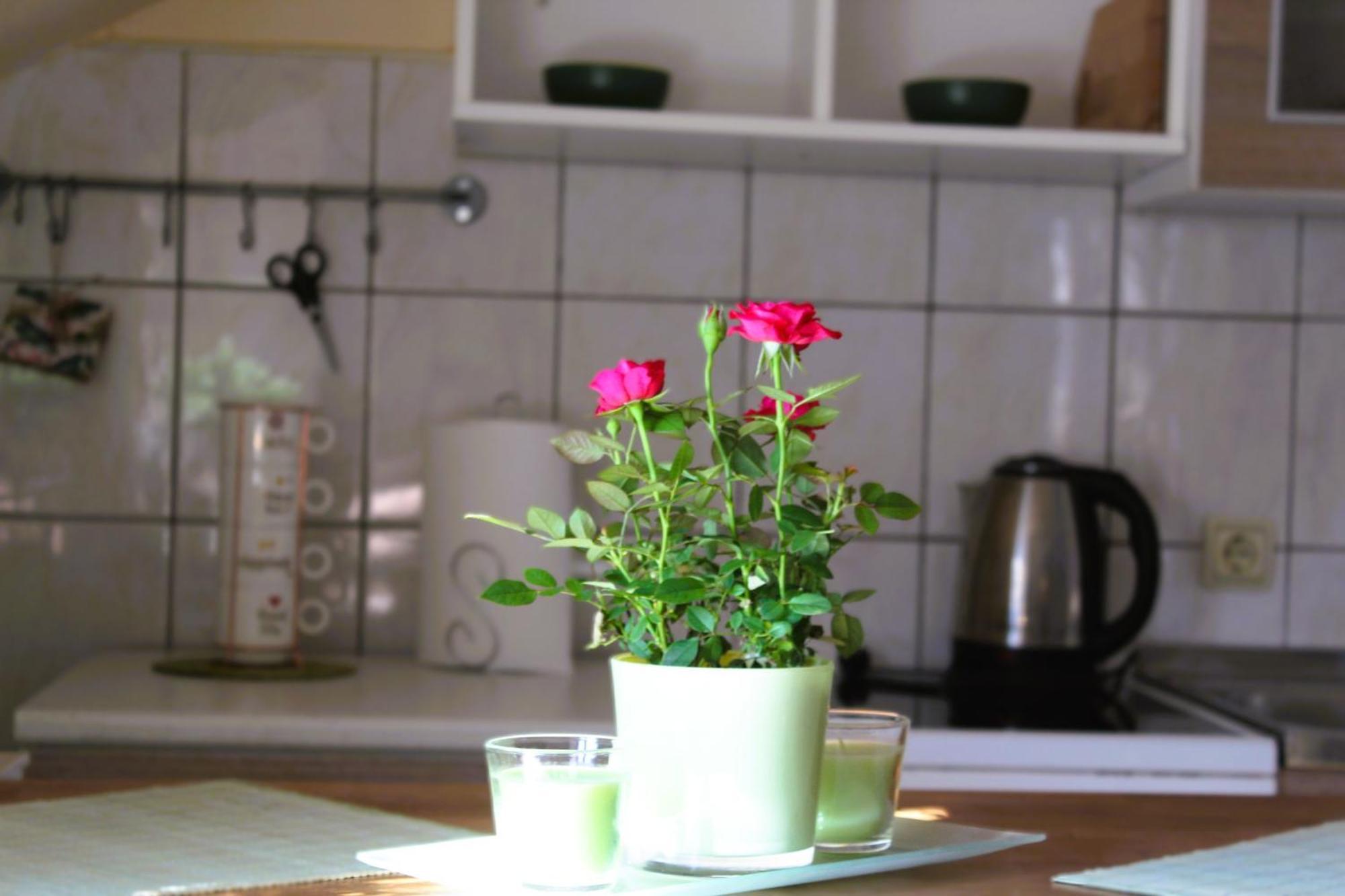 Svila Apartmani Bihać Buitenkant foto